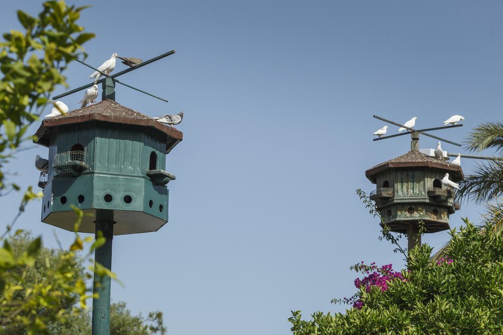 Venus Hotel Side Ngoại thất bức ảnh